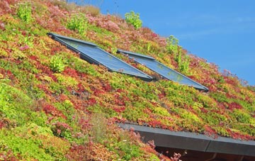 Pickford living roof systems